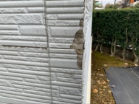 ⑤凍害・浮き反り